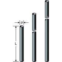 ZAS 05 Mast 2,0 m, 48 mm 