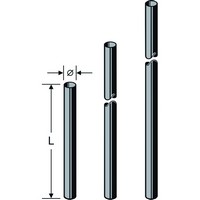 ZAS 06 Mast 3,0 m, 48 mm 