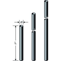 ZAS 02 Mast 0,56m 